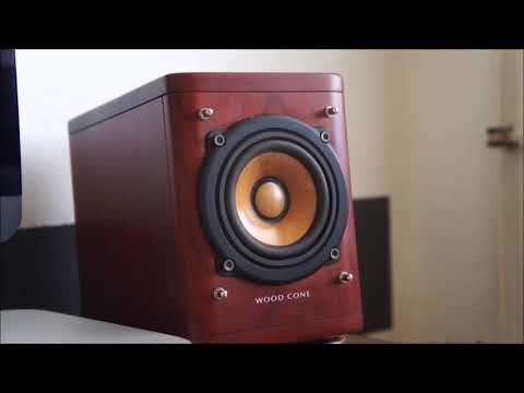 JVC SP EXA1 Woodcone