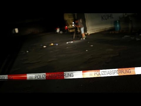 Afghan axe attacker 'self-radicalised recently'- German official