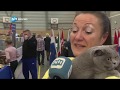 Jubilerende vereniging Felikat houdt internationale kattententoonstelling in Huizen
