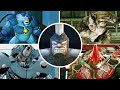Evolution of Rhino Boss Battles in Spider-Man Games (1990-2021)