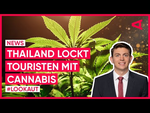 Cannabis Legalisierung in Thailand: Was bedeutet das für Tourismus und Wirtschaft?