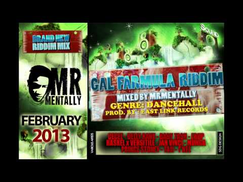Gal Farmula Riddim Mix By Mr Mentally (Feb 2013) Dancehall