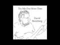 David Bromberg - Try Me One More Time