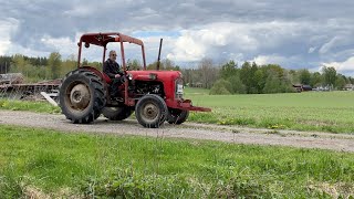 Ciągnik kołowy Veterantraktor Massey Ferguson 35 na sprzedaż - Obrazek 4 | Agroline PL Ciągnik kołowy Veterantraktor Massey Ferguson 35 | Obrazek 4 - Agroline