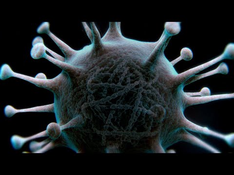 Los virus y el sistema inmunológico | NATIONAL GEOGRAPHIC ESPAÑA