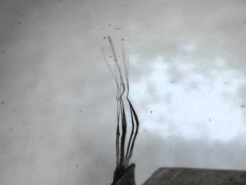 Ultra-flexible nanoscale brain probes