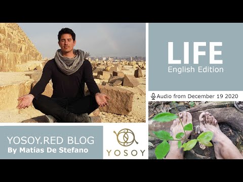 Matías De Stefano, Day 138 - LIFE - YOSOY.RED BLOG: Knees-Emotional- Sagittarius, Read by Joan 12/19