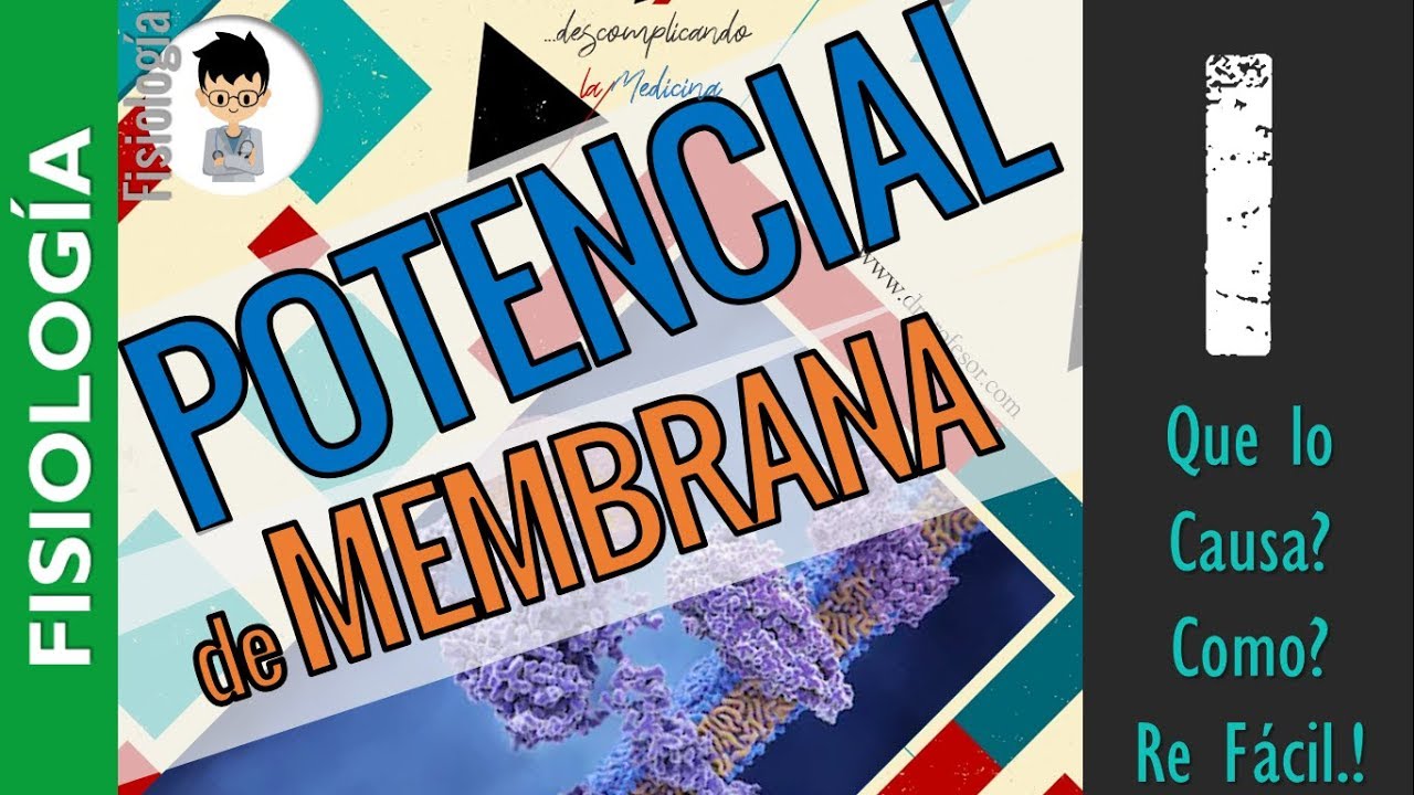 POTENCIAL DE MEMBRANA y Potencial de Acción, Ecuación NERNTS con ejemplos, ELECTROFISIOLOGÍA|P1