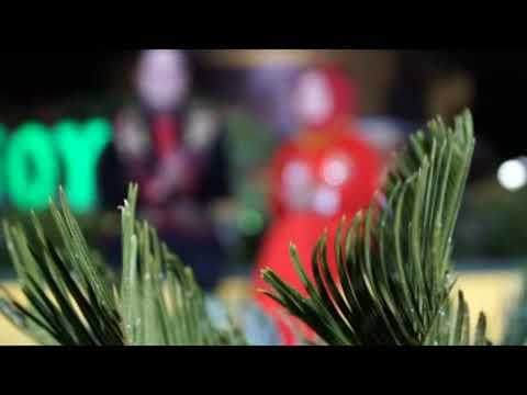 Ahmed Habsy Feat. Winda Ka 2 - Ya Habibi | Dangdut (Official Music Video)