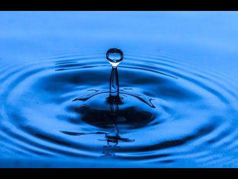 Rockin' Squat - La Lutte Du Siècle (Clip Officiel)