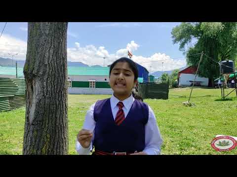 VOICE OF CHANGE