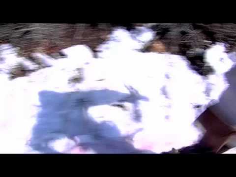 Fimbulvinter Trailer