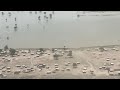 From Floods To Food Music Video Of Chinampas Pilot In Bentiu South Sudan March 2022