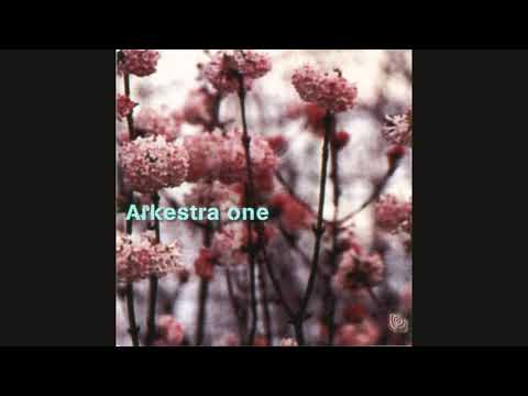 Arkestra One ‎– Man From The Audince