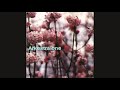 Arkestra One ‎– Man From The Audince