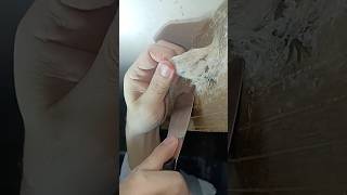 Download lagu Expensive Bird's Nest (Swiftlet Nest) Harvesting Techniques mp3