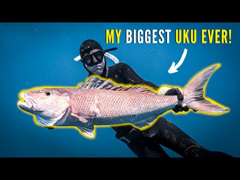 DEEP SPEARFISHING Hawaii My BIGGEST UKU!!! (Catch Clean Cook)