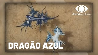 Miniatura do vídeo
