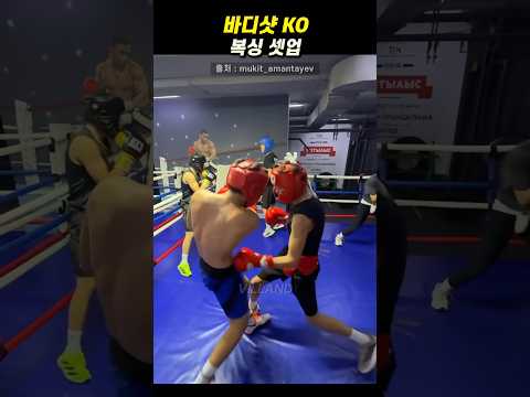바디샷으로 KO 보내는 셋업 꿀팁😲🥊💥 #ufc #boxing  #mma