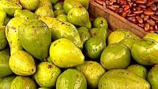 preview picture of video 'Borneo Fruits-The Avocado of Kuching City'