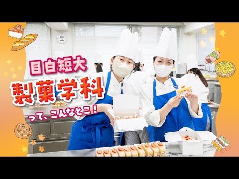 【目白短大】製菓学科ってどんな感じ？～授業の様子をご紹介！