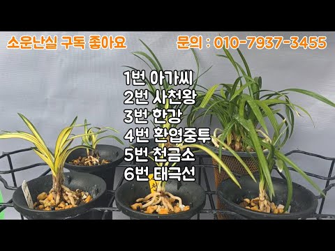 유튜브 썸네일