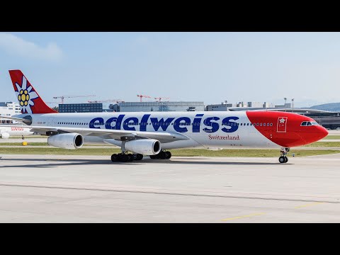 EDELWEISS AIR Business Class | Airbus A340 Costa Rica to Zürich trip report (4K)
