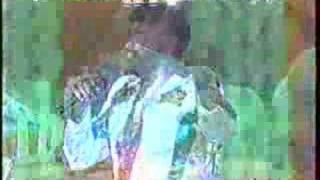 Banda El mexicano "Feliz Feliz"