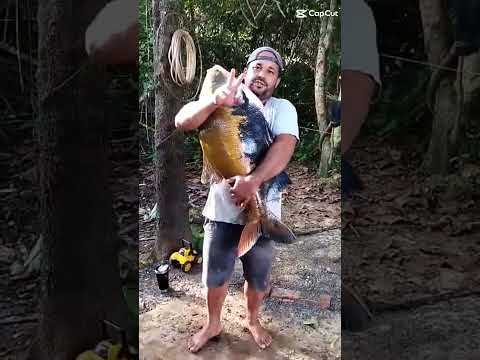 🎣Vendo lotes Pesqueiro Rio Turvo - Região de Turvelândia/GO20 km da cidade 90 km de Rio Verde