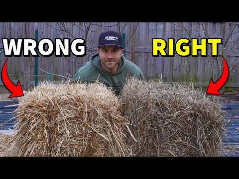 The HIDDEN PROBLEM With Using STRAW MULCH