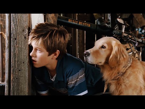 Filme completo | Um cachorro perdido com diamantes causa uma corrida louca! | Uma comedia engraçada