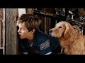Filme Completo Um Cachorro Perdido Com Diamantes Causa Uma Corrida Louca Uma Comedia Engraçada