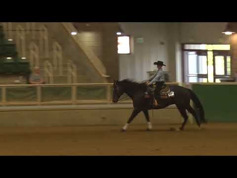 170923 Evan Jones on San Up Spur Beginner