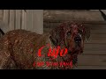 Cujo Scene Pack Cujo