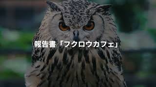 報告書「フクロウカフェ」