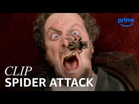 Marv’s Spider Scream