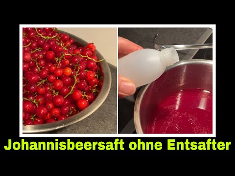 schneller Johannisbeersaft ohne Entsafter | Johannisbeeren Rezept | Selbstversorgung: Ribisel