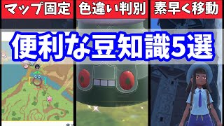 【ポケモンSV】絶対に知っておきたい豆知識5選【スカーレットバイオレット】