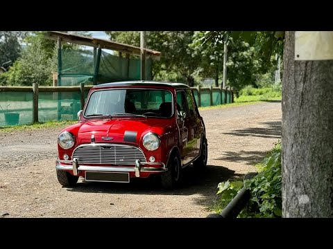 Mini cooper MPI "mk1 goodwood style"