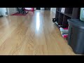 Rubber Band Is The Greatest Cat Toy Nope