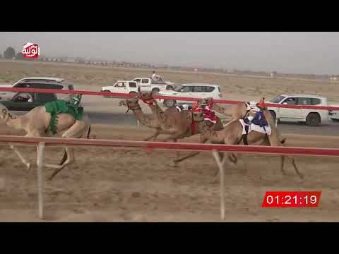  ش 13 (هندسه) لـ عبدالله محمد بن خلفان الهاملي 3:05 ، شارة الصندوق 2026/08/01 فطامين سويحان