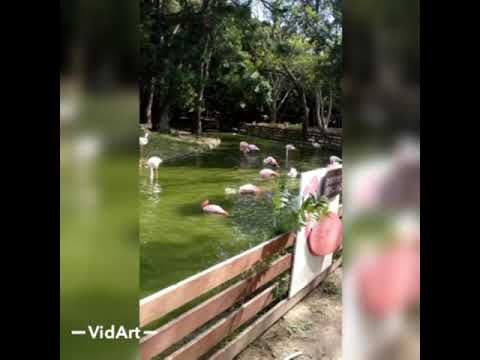 Soothing and relaxing!