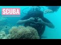 SCUBA DIVING  with instructions & price at Havelock Andaman Island |Top things to do in Andamans |