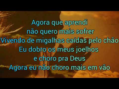 Não Choro Mais Em Vão - Roseane Ribeiro