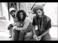 The Congos-Don't Blame it on I