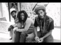 The Congos-Don't Blame it on I 