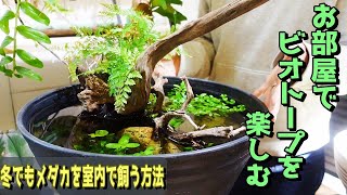 [問題] 請問圓葉節節草可以一把抓起來切嗎？