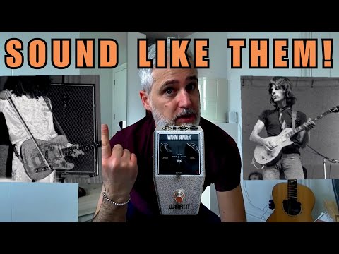 Stop Your Fuzz Search! Warm Audio Warm Bender Guitar Pedal Review!
