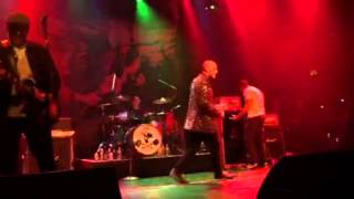 Screeching Weasel - The First Day of Summer