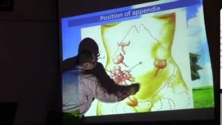 13) Dr.Sherif Zaki 5 /3/2015 [ introduction to large intestine - vermiform appendix ]